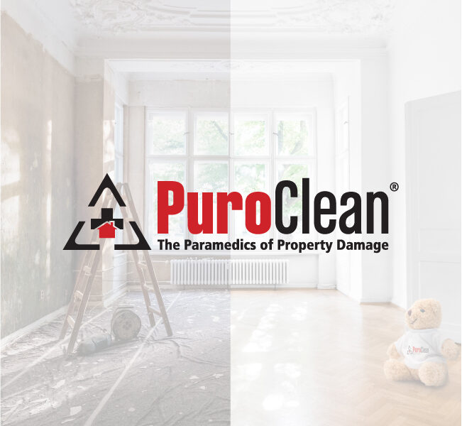 PuroClean Emergency Services