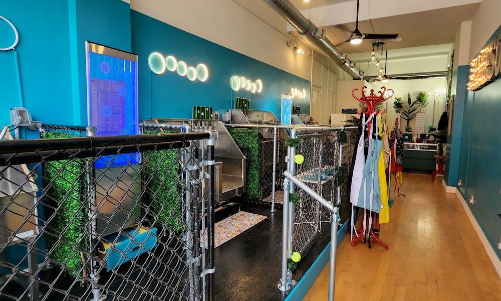 Jamiesons Urban Pet Spa