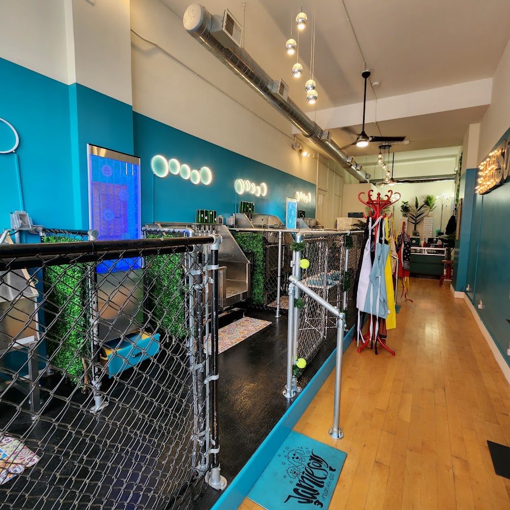 Jamiesons Urban Pet Spa