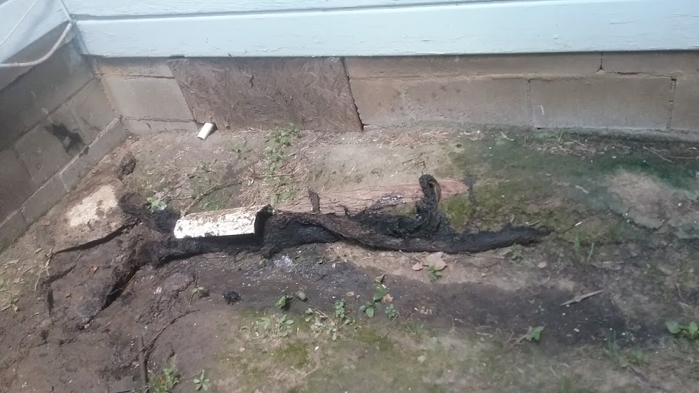 Roto Rooter Sewer Service